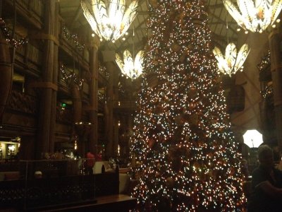 IMG_1029.JPG