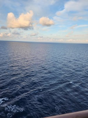 20240120_072858.jpg