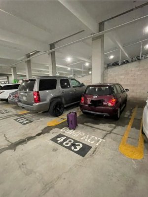 IMG_9299.jpeg
