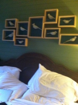 IMG_0846.jpeg