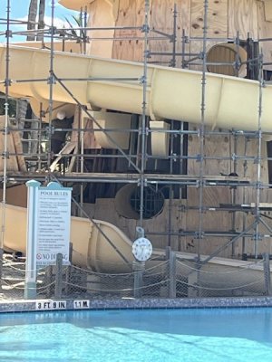 IMG_0289.jpeg