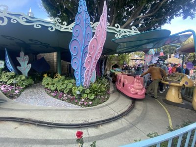 IMG_8071.jpeg IMG_8071.jpeg