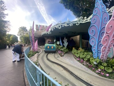 IMG_8072.jpeg IMG_8072.jpeg