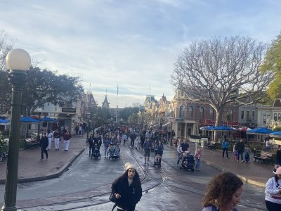 IMG_8067.jpeg IMG_8067.jpeg