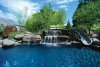 Backyard-pool-designs-pictures2.jpg