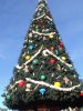 DSC08625.JPG