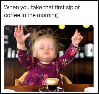1706638486909.png