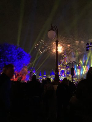IMG_2917.jpeg