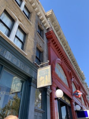 IMG_8407.jpeg