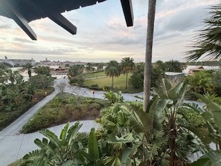 IMG_1054.jpg