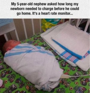 IMG_3834.jpeg