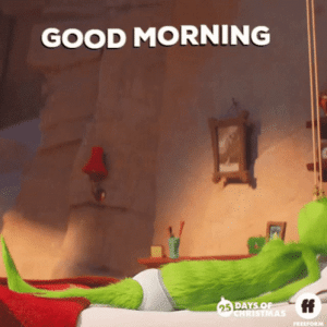 IMG_2975.gif