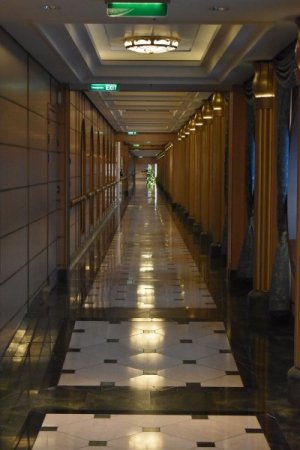 DSC_5202.JPG