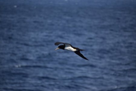 DSC_5235.JPG