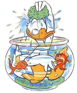 donald_duck___bathing_in_a_fishbowl__by_mrbertstown_dezt9dy-fullview.jpg