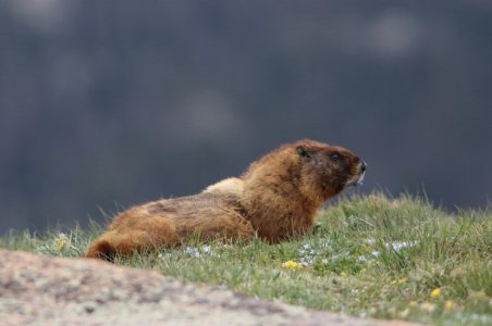 IMG_1241.jpeg