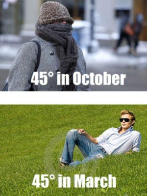 1706914441022.png
