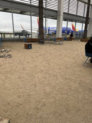 IMG_4882.jpeg