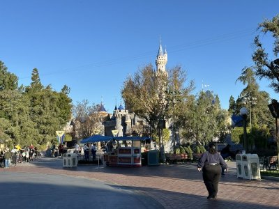 IMG_2629.JPEG