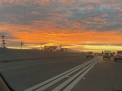 IMG_8132.jpeg