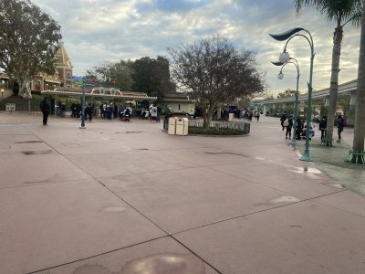IMG_8133.jpeg