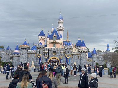 IMG_8143.jpeg