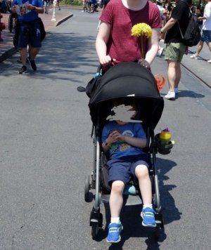 stroller.jpg