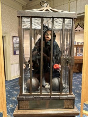 IMG_2803.JPEG