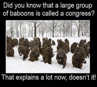 IMG_3888.jpeg