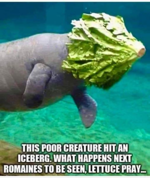 1707350091781.png