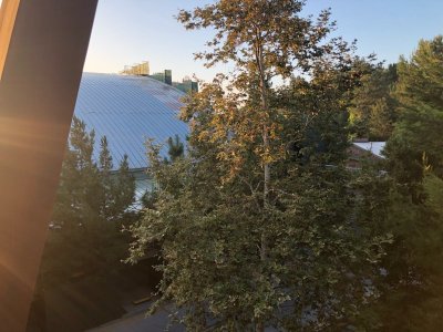IMG_2639.jpeg