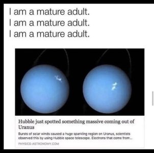 IMG_0530.jpeg