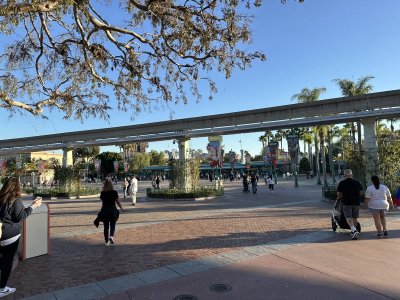 IMG_2820.JPEG