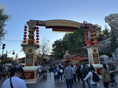 IMG_2827.JPEG