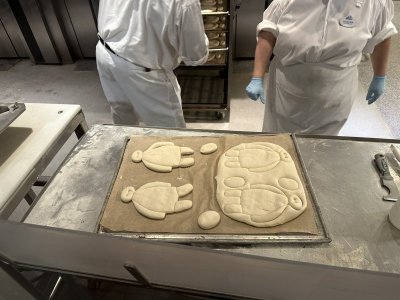 IMG_2837.JPEG
