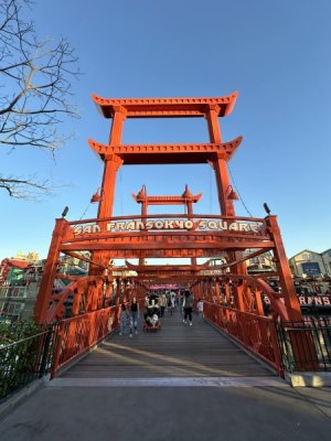 IMG_2855.JPEG