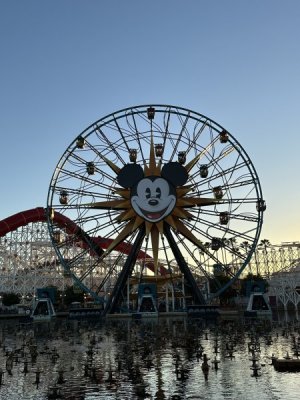 IMG_2882.JPEG