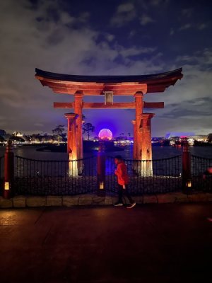 IMG_3398.jpeg