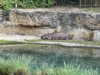 IMG_9469.jpeg