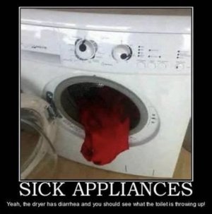 IMG_3061.jpeg