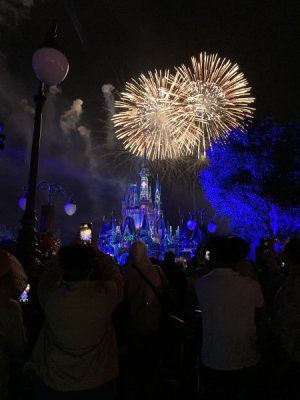 IMG_2845.jpeg