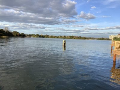 IMG_2886.jpeg