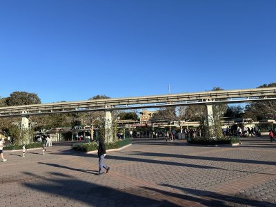 IMG_2949.JPEG