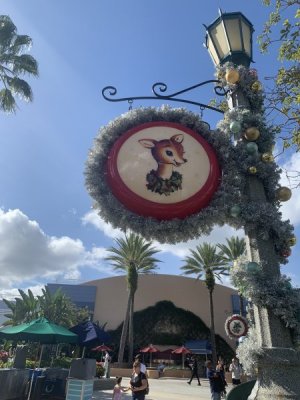 IMG_4492.jpeg