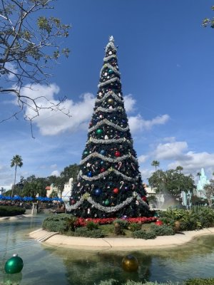 IMG_4491.jpeg