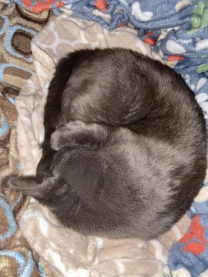 IMG_0154.jpeg