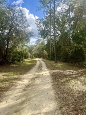 beach trail.jpg