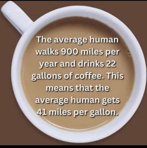 1707760254127.png