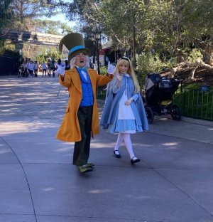 IMG_8241.jpeg