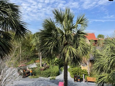 IMG_3263.jpeg